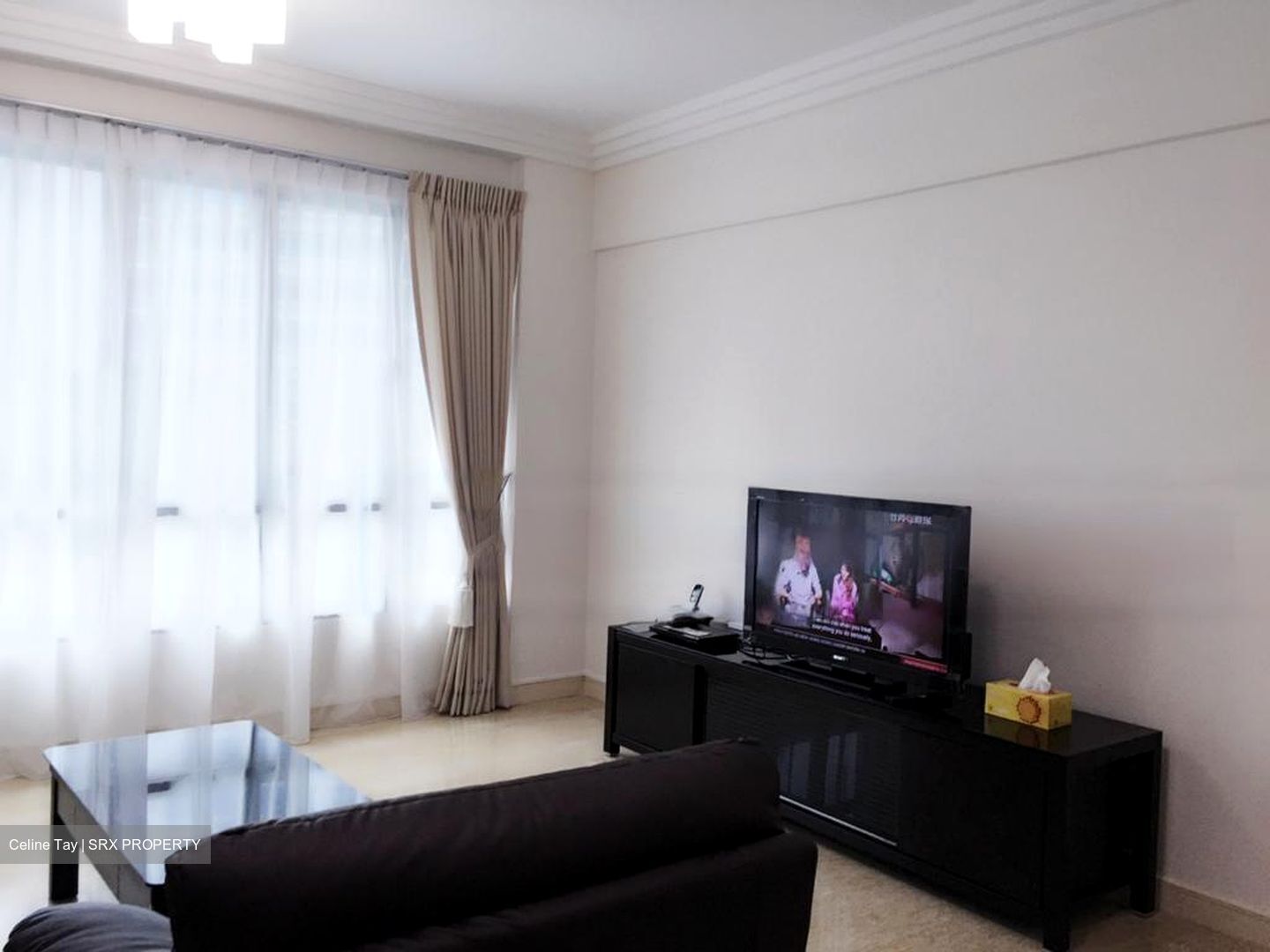 Thomson Euro-asia (D11), Condominium #453394971